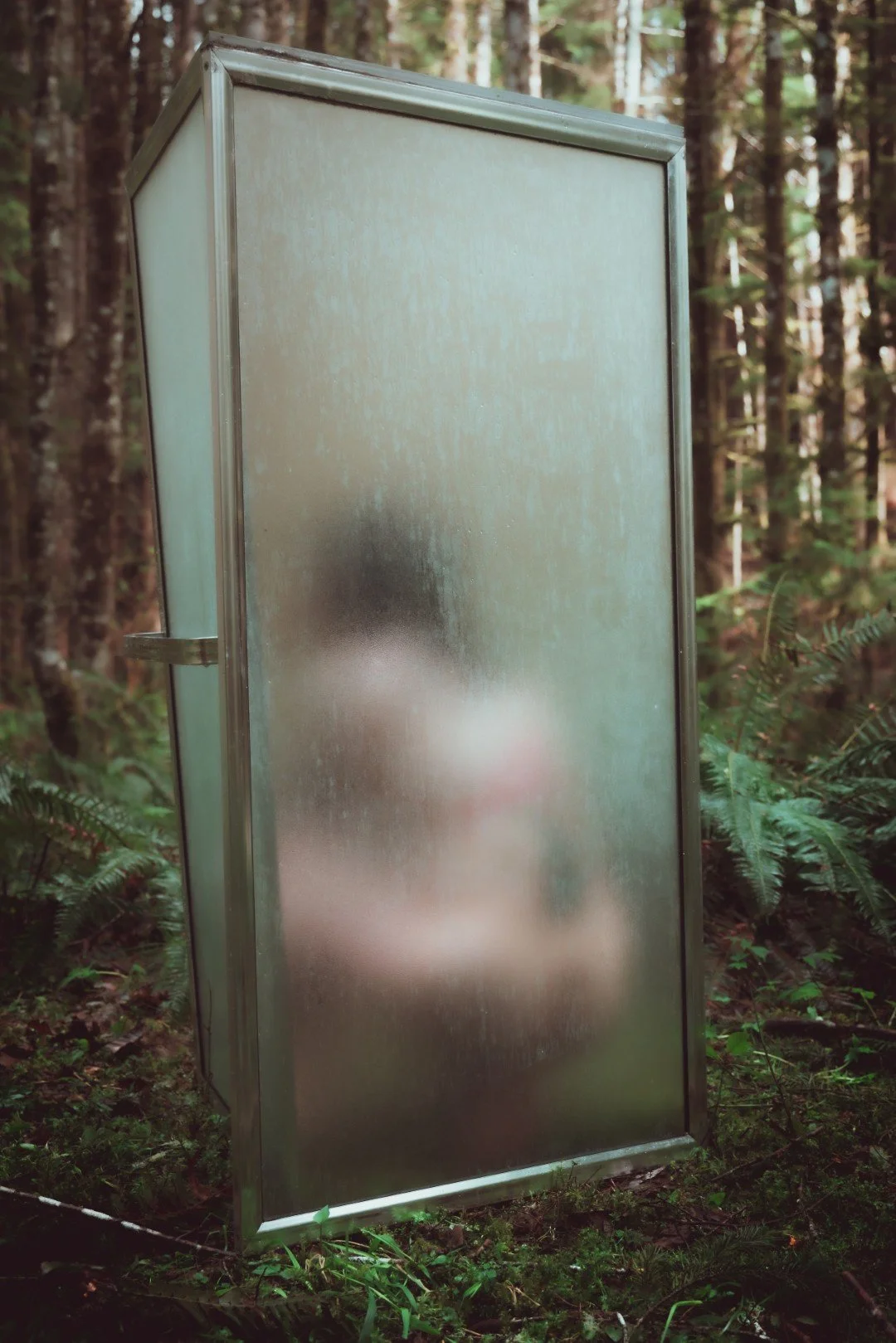 Forest Shower-20 (Large).JPG