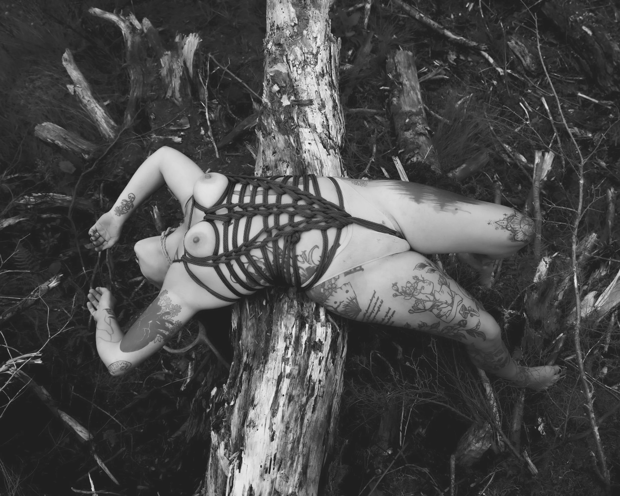 Kiera antlers-36.jpg