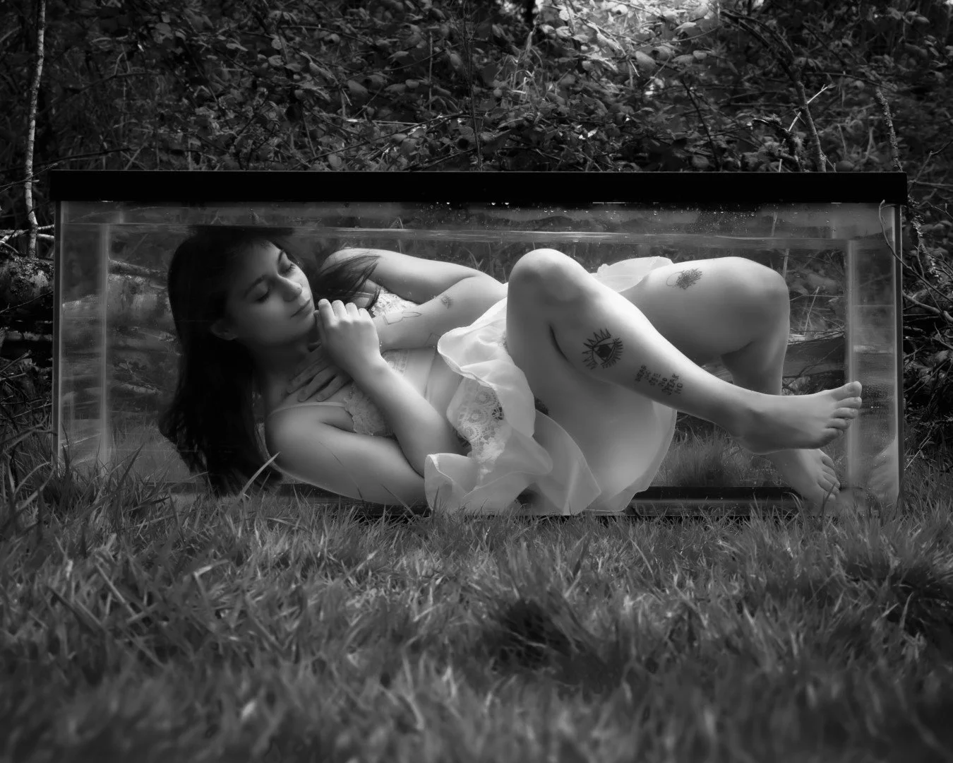 Shy Tank-1 (Large).JPG