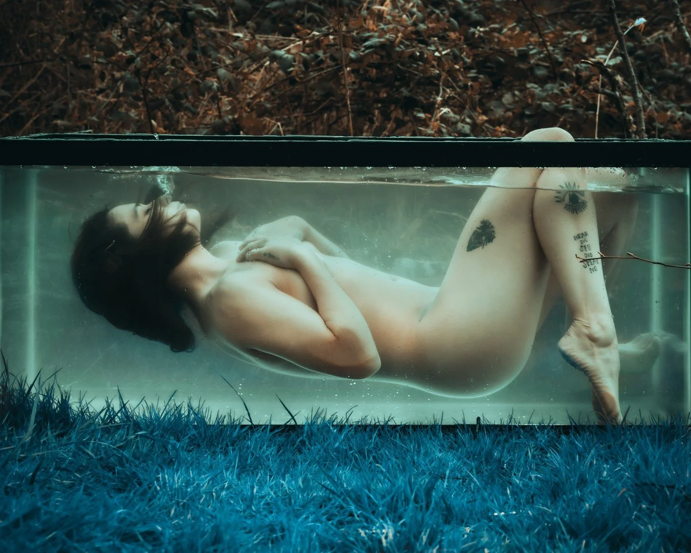 Shy Tank-31 (Large).JPG