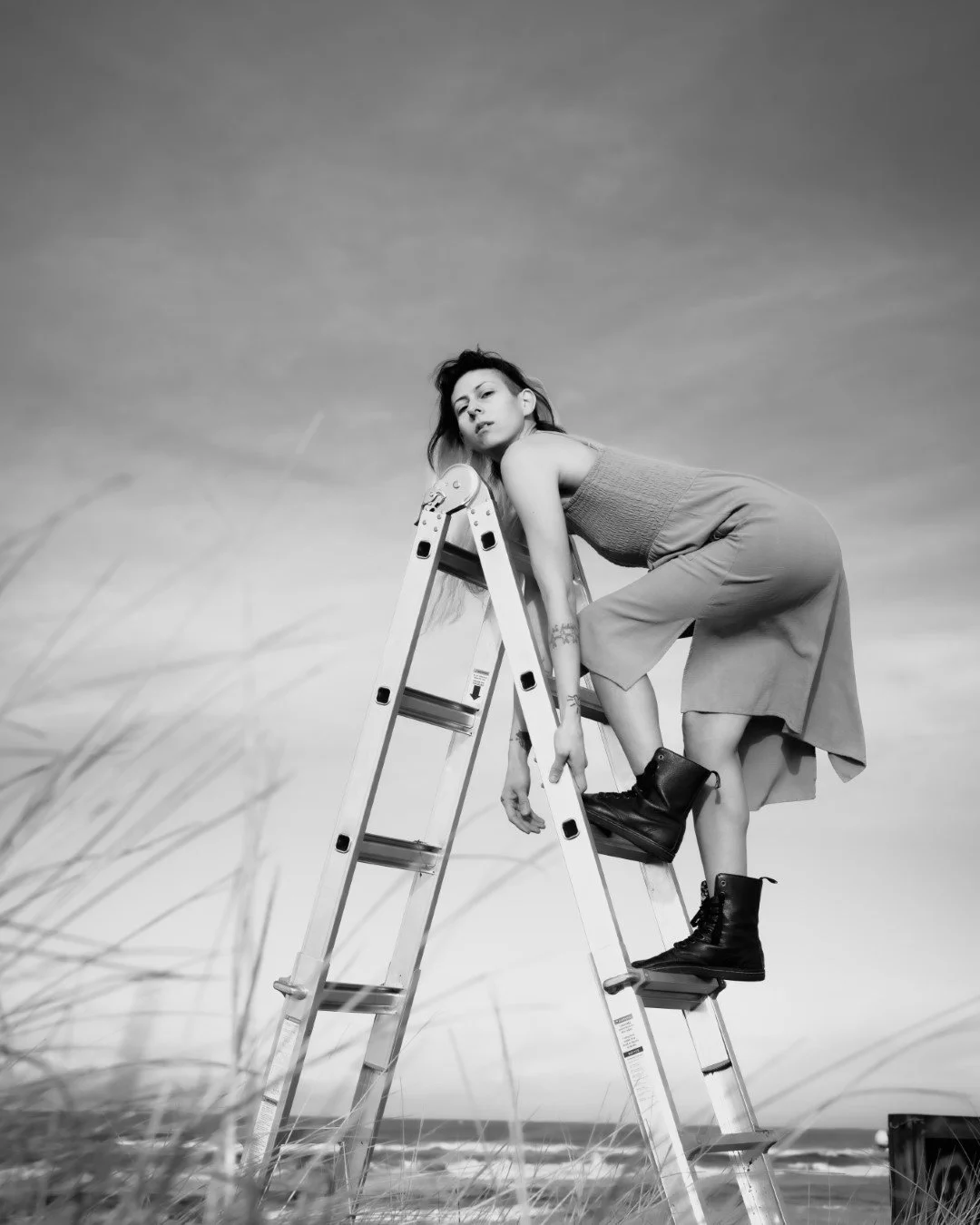 ladder-7 (Large).JPG