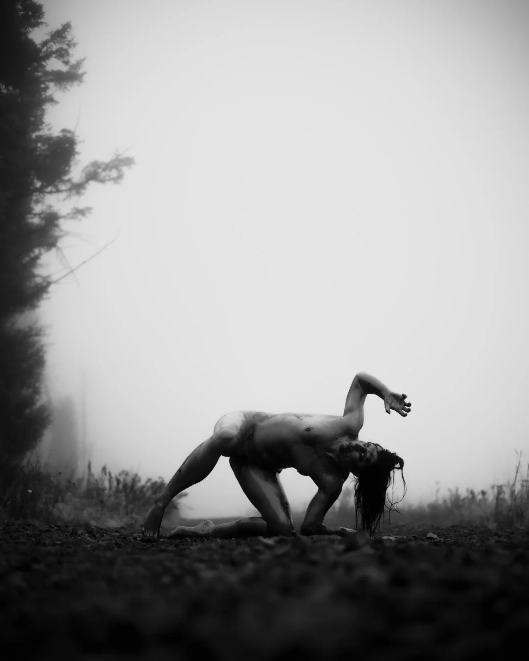 Zander wasp -39 (Large).JPG