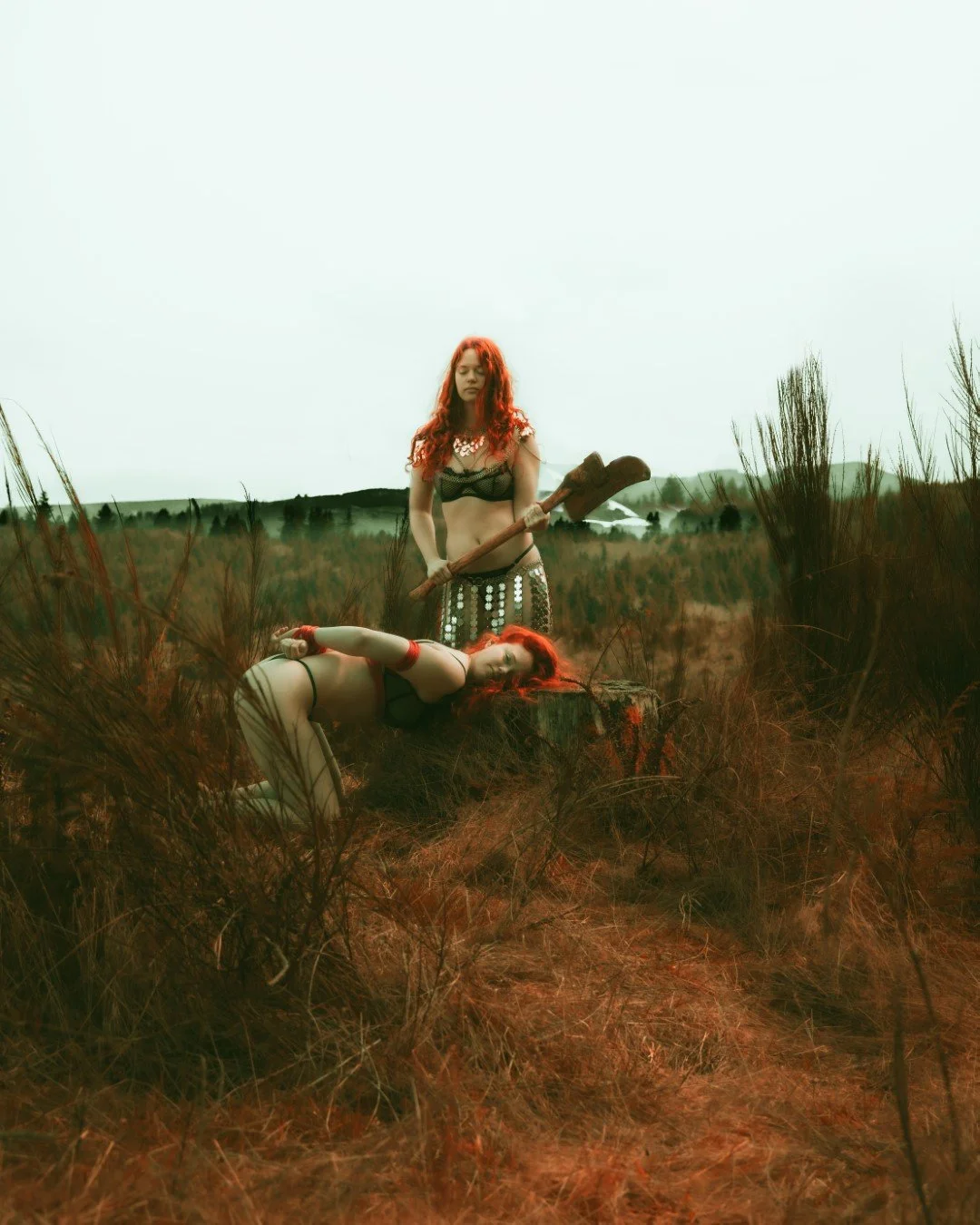 The execution-2 (Large).jpg