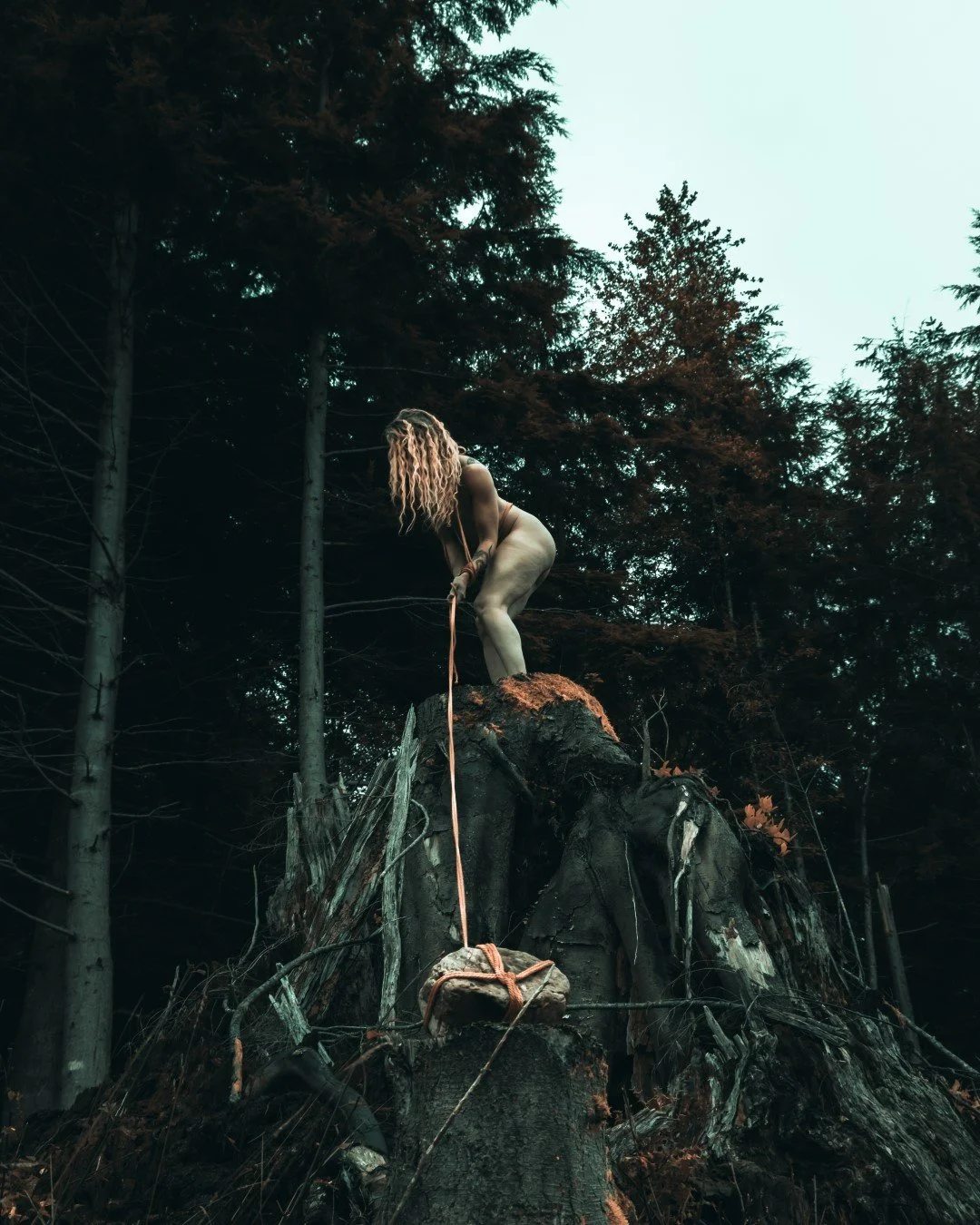 Burdened-7 (Large).JPG