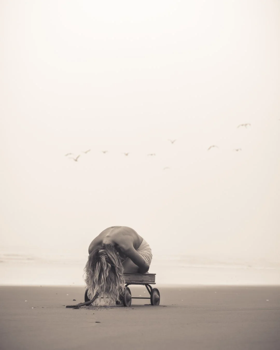 wagon-18 (Large).JPG