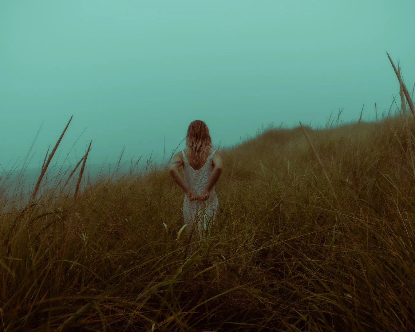 wagon-59 (Large).JPG