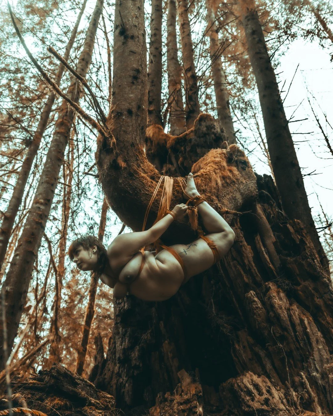 Billie Suspension-3 (Large).JPG