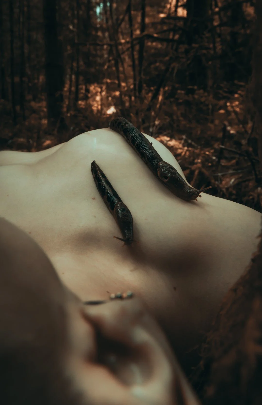 Slug scapes-27 (Large).JPG