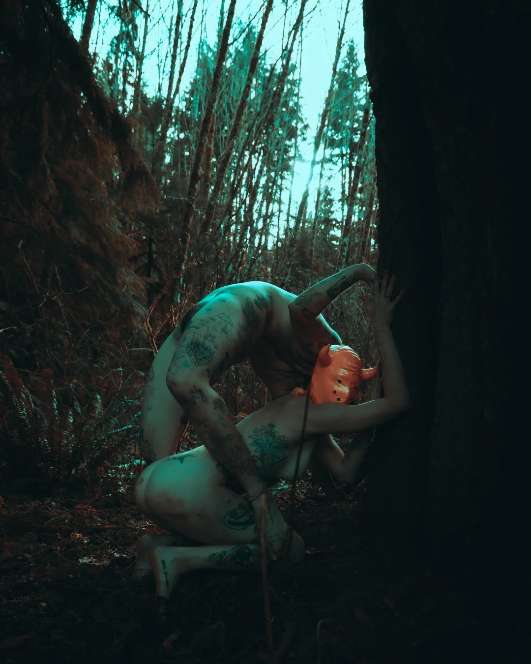 devil tree-29 (Large).JPG