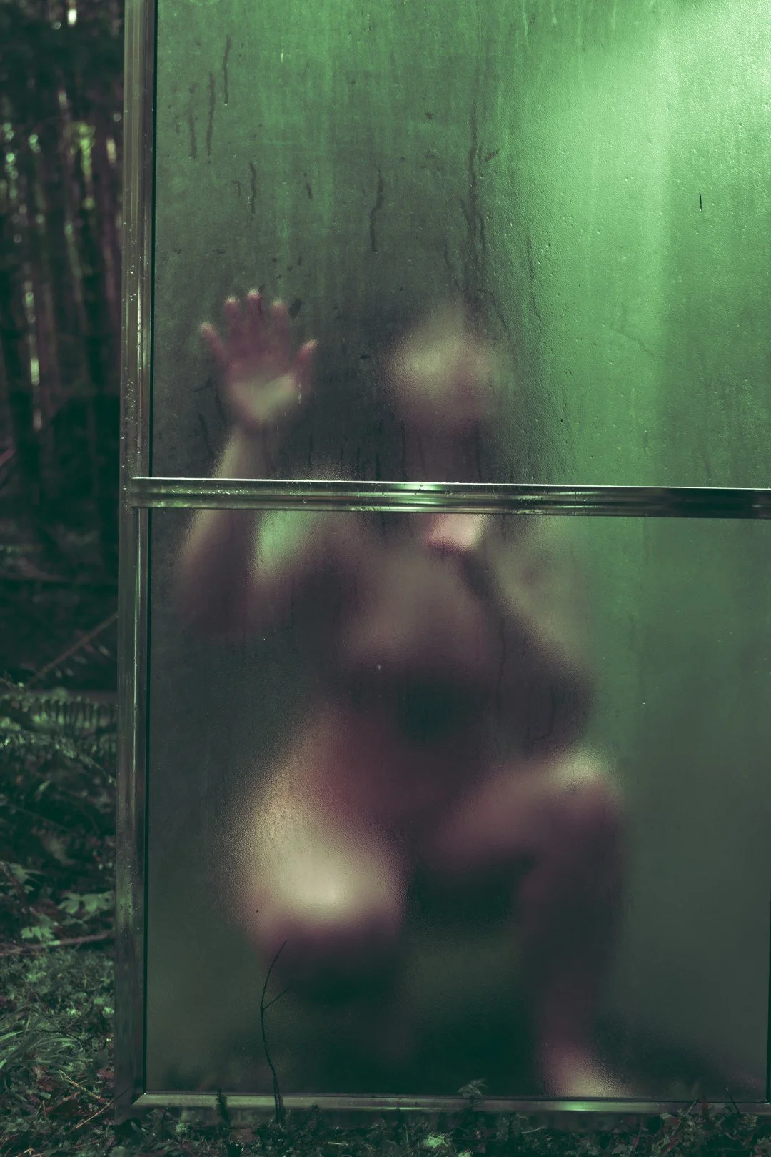 Forest Shower-21 (Large).JPG