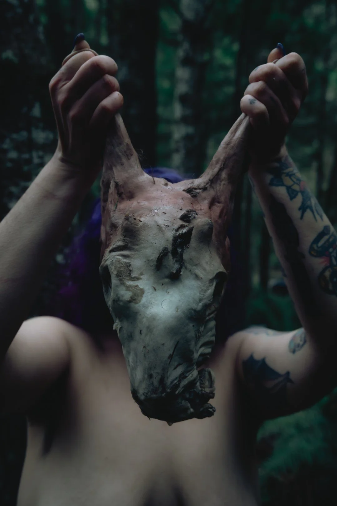 Nicole Rot-30 (Large).JPG