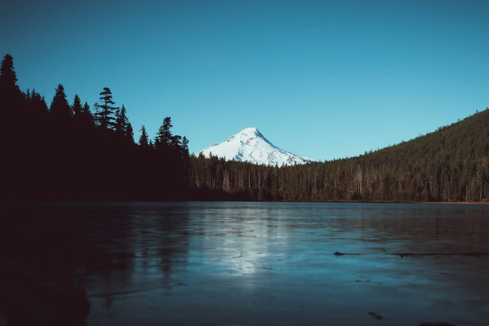 mt hood -71 (Large).JPG