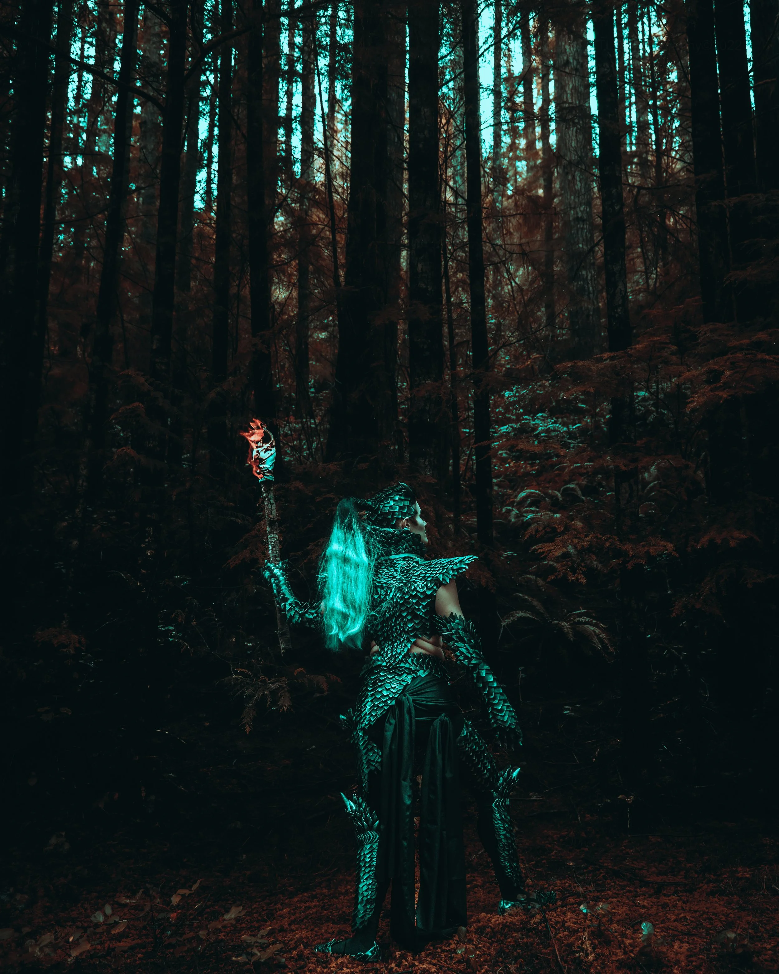 Knight-6.JPG