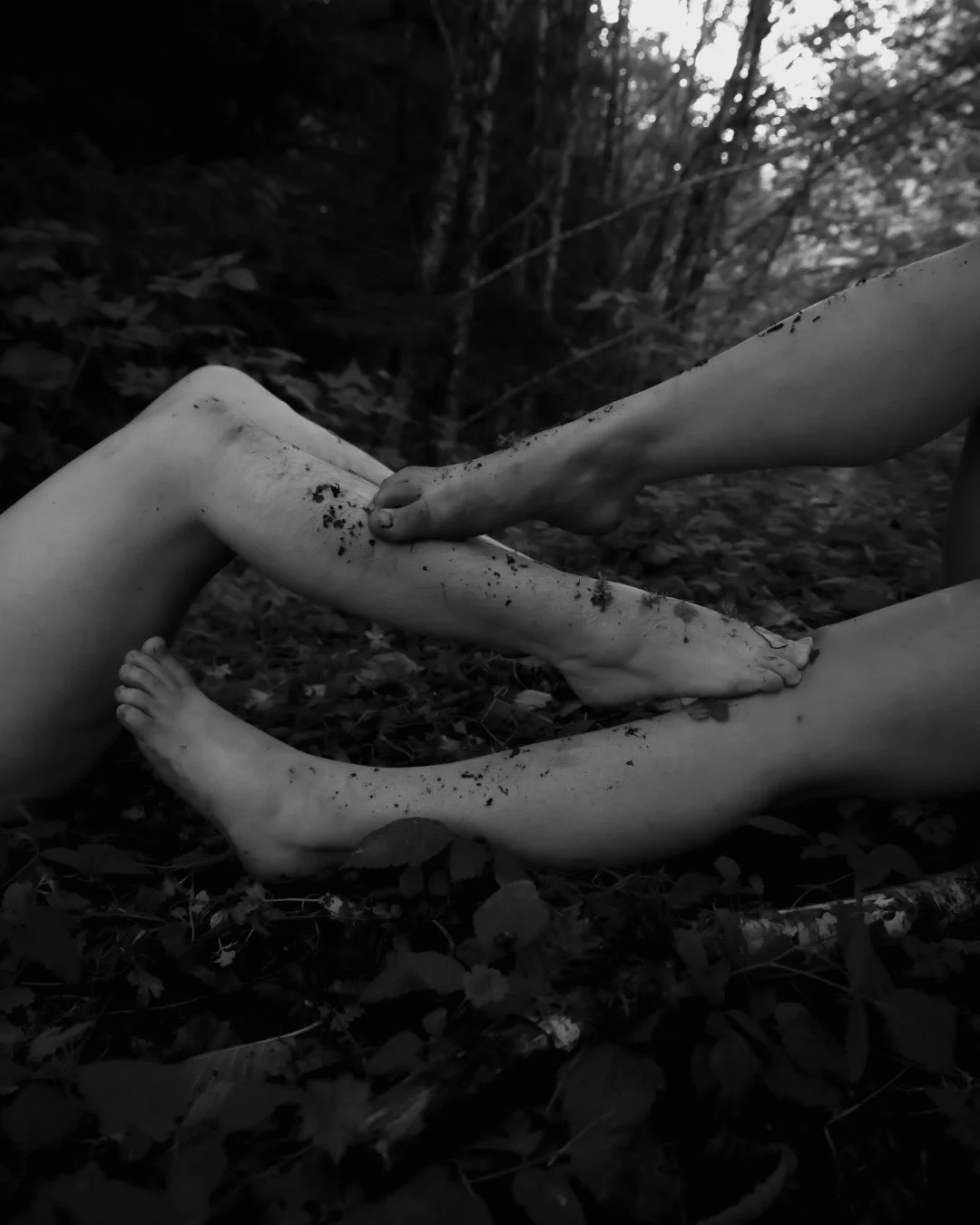 Enduring-34 (Large).JPG