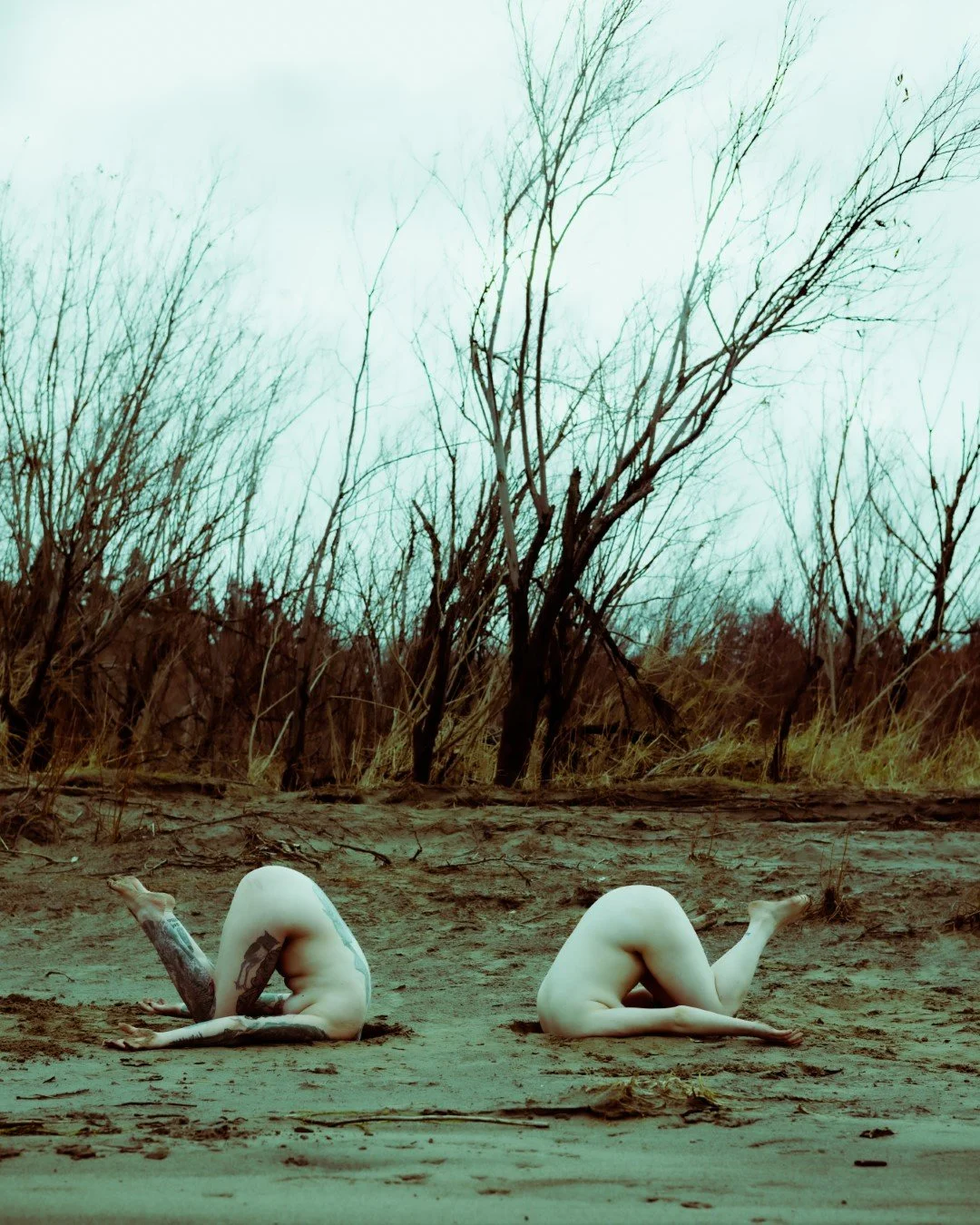 Rooster rock-77 (Large).JPG