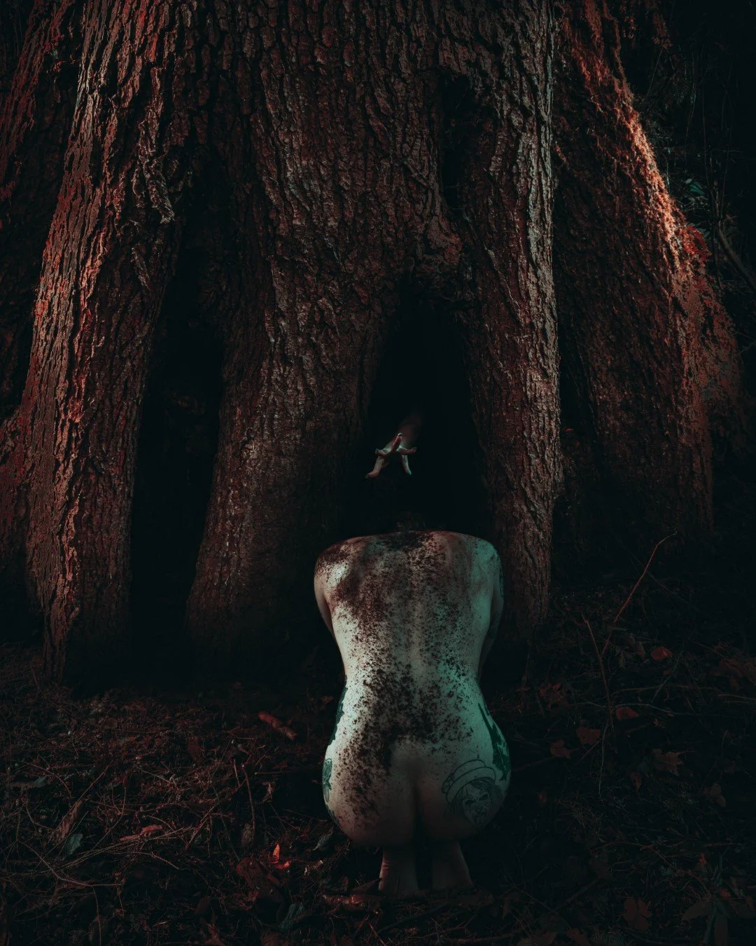 devil tree-22 (Large).JPG