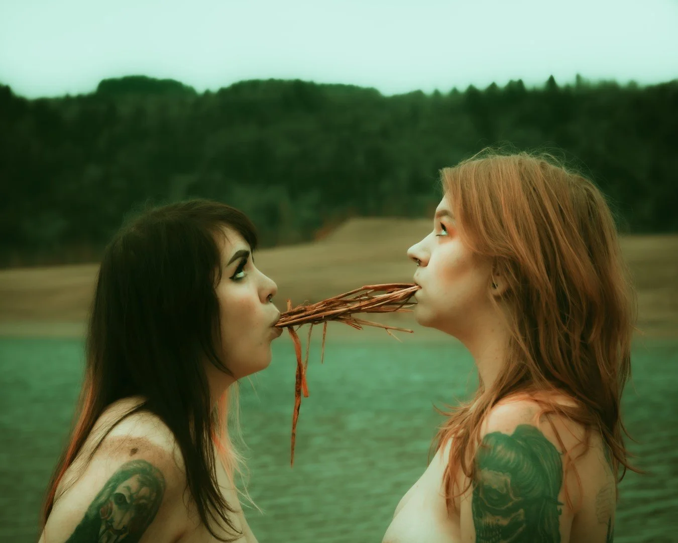 Rooster rock-90 (Large).JPG