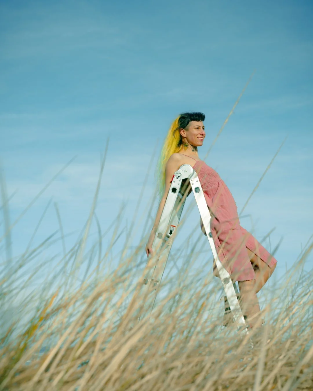 ladder-10 (Large).JPG