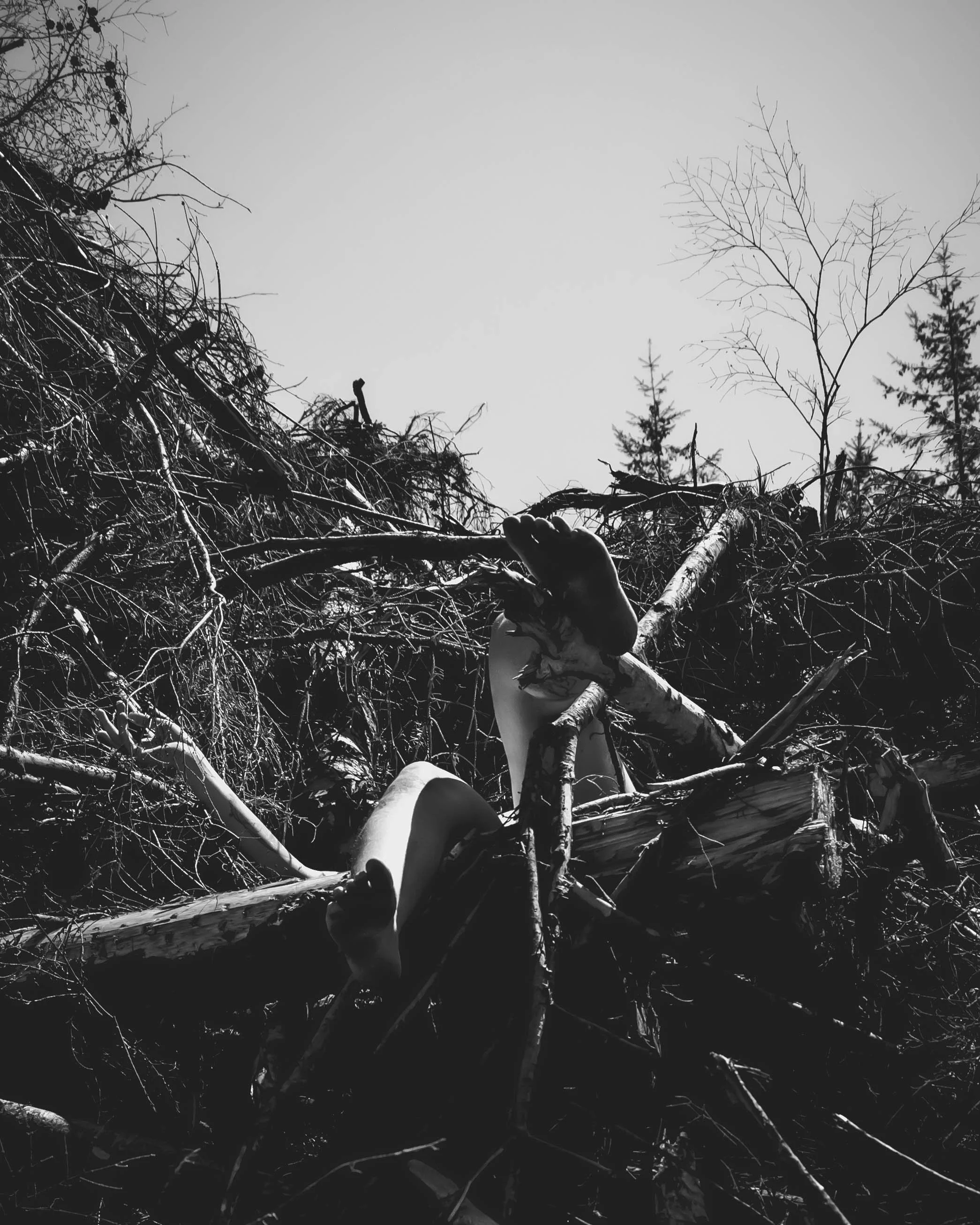 Barbedwire crown-26.jpg