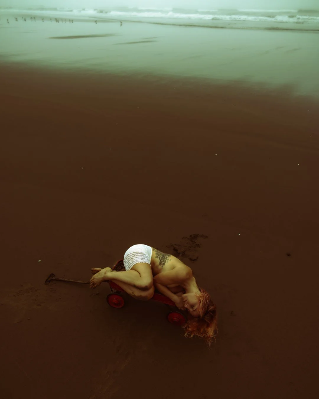 wagon-34 (Large).JPG