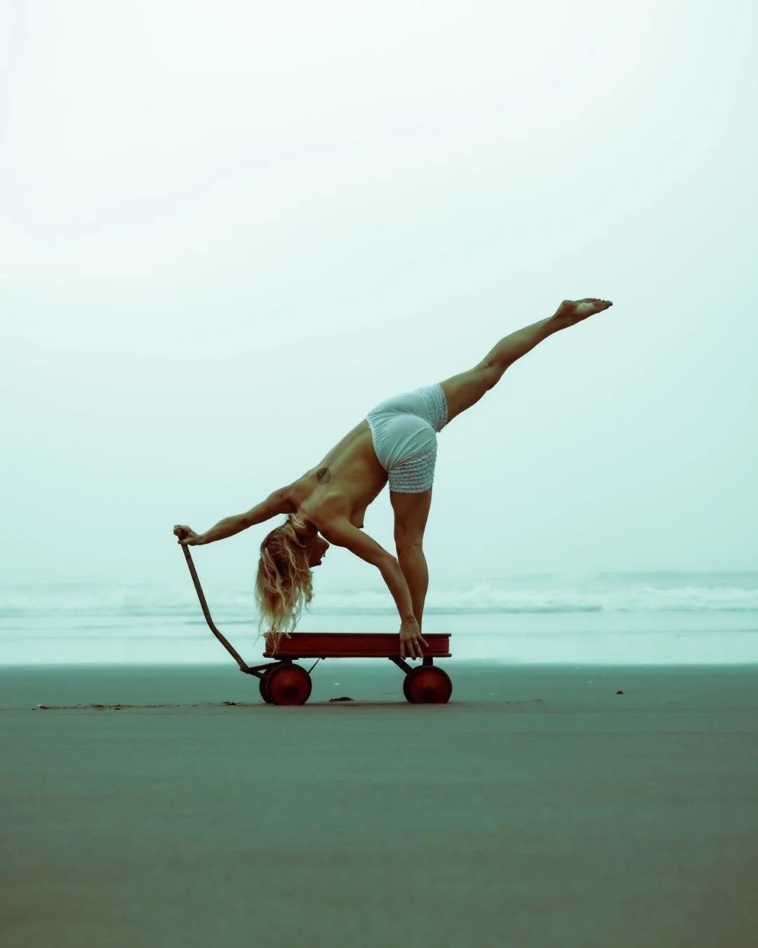 wagon-24 (Large).JPG