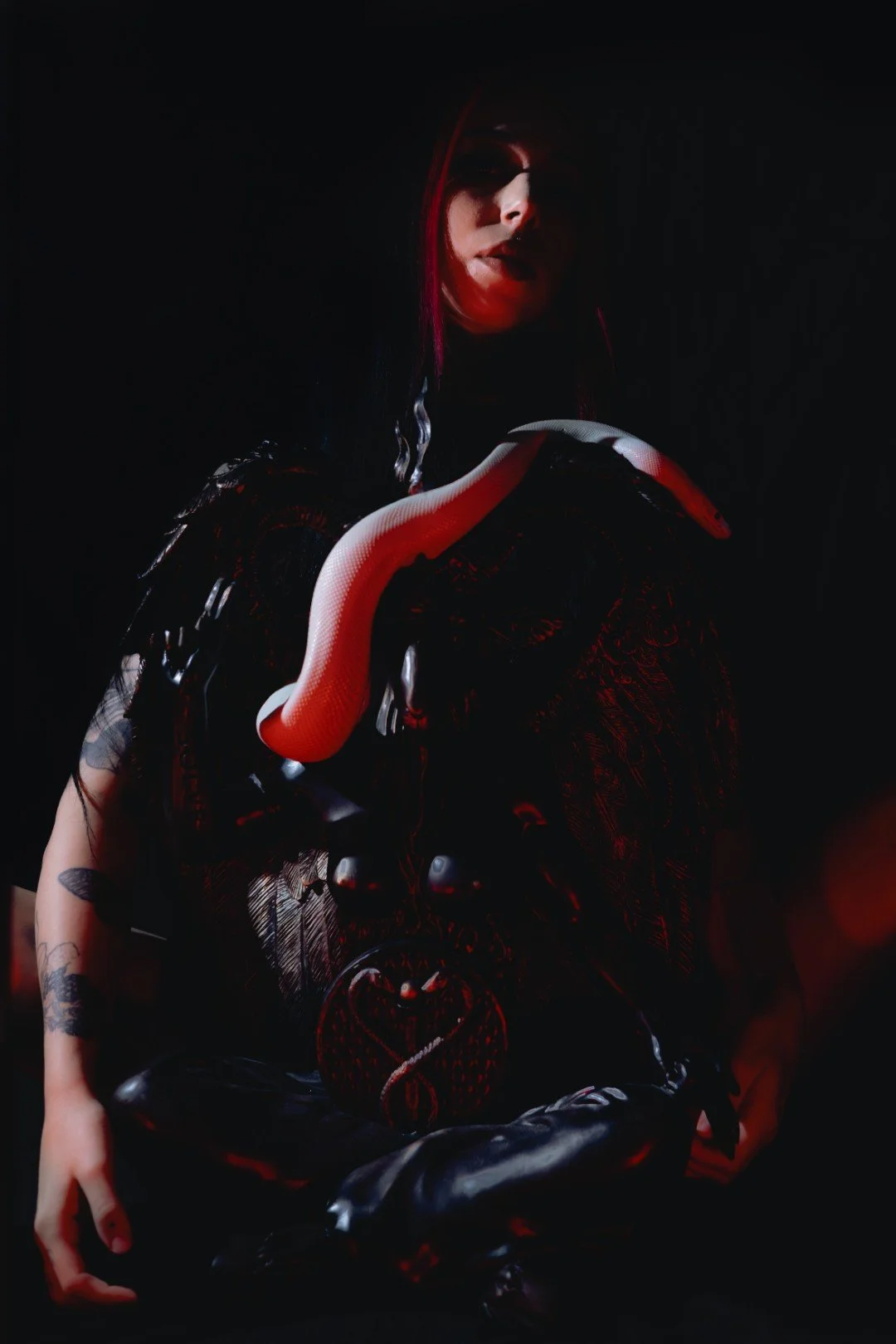 Nyx and Zuzu-7 (Large).JPG