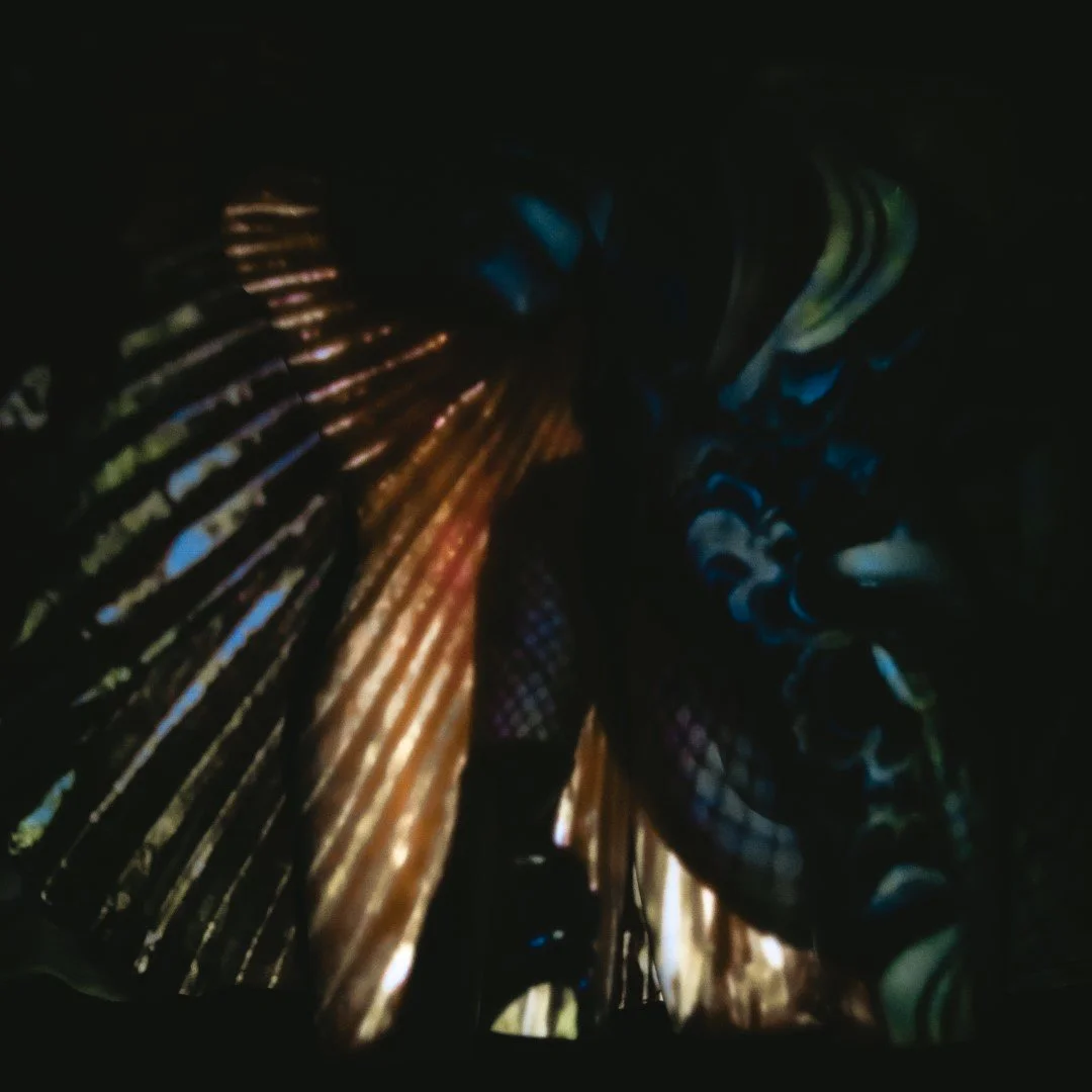 Tylar remote-19 (Large).JPG