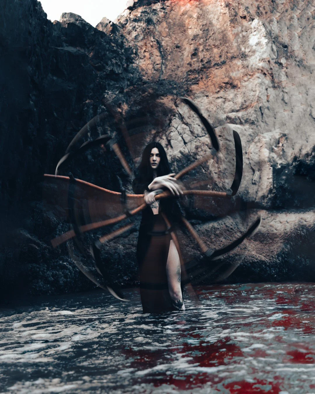 Rose Arcadia-10 (Large).JPG