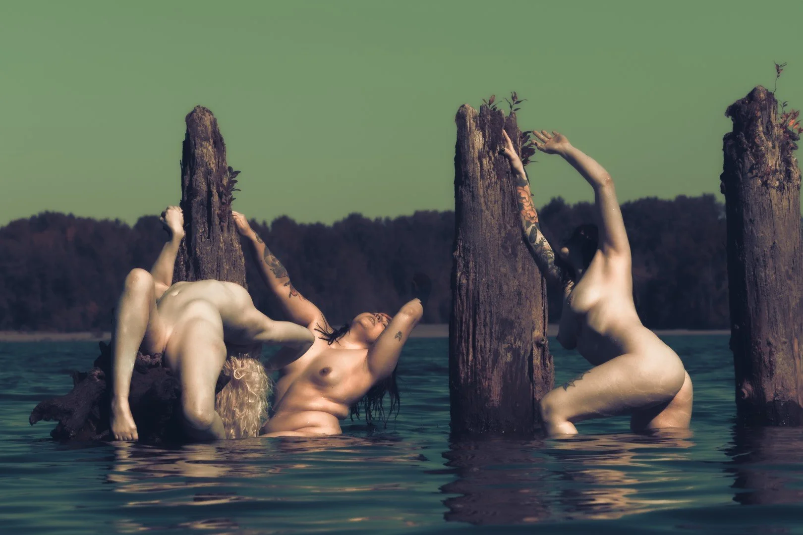 sauvie island experiment day-36 (Large).JPG