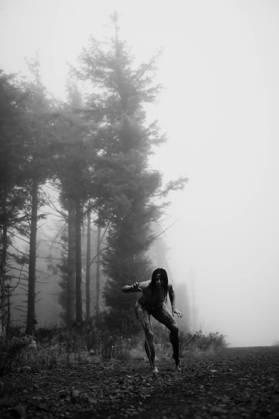 Zander wasp -26 (Large).JPG