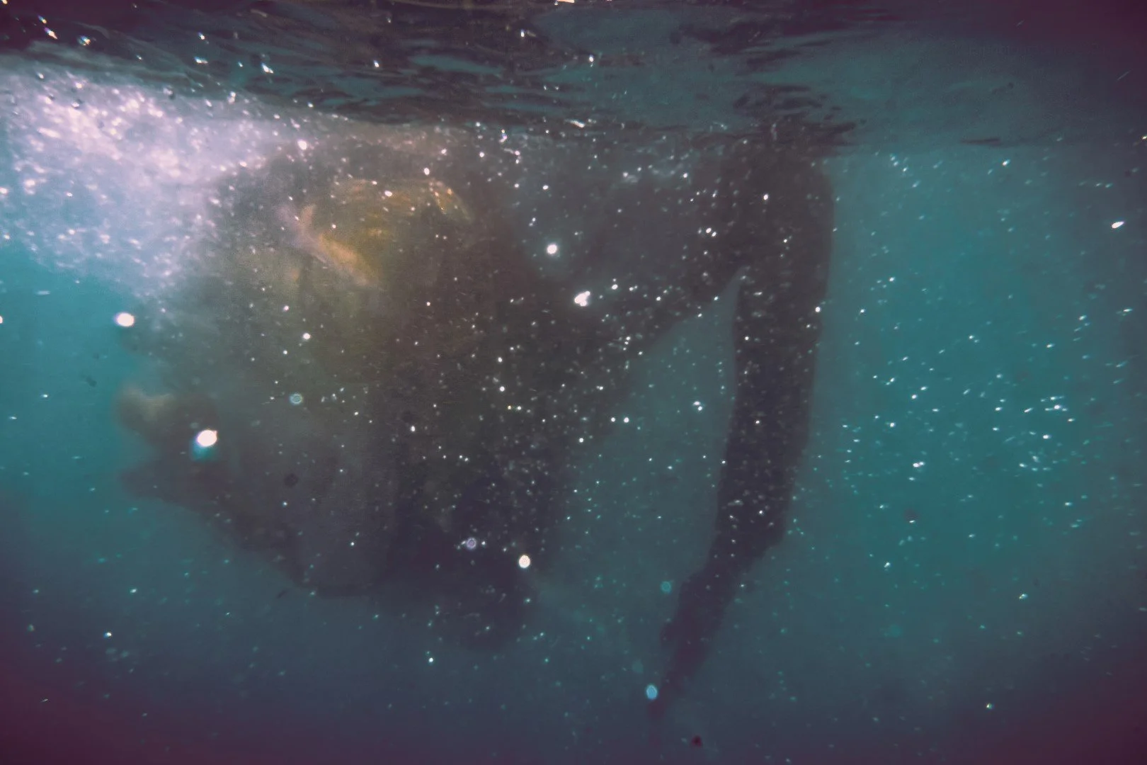 oct 3 pool-95 (Large).JPG