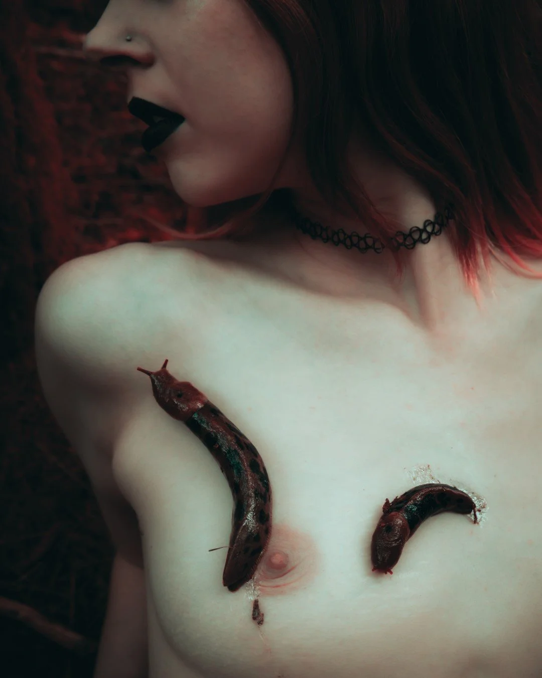 Slug scapes-2 (Large).JPG