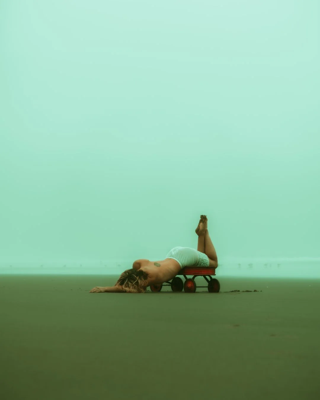 wagon-28 (Large).JPG