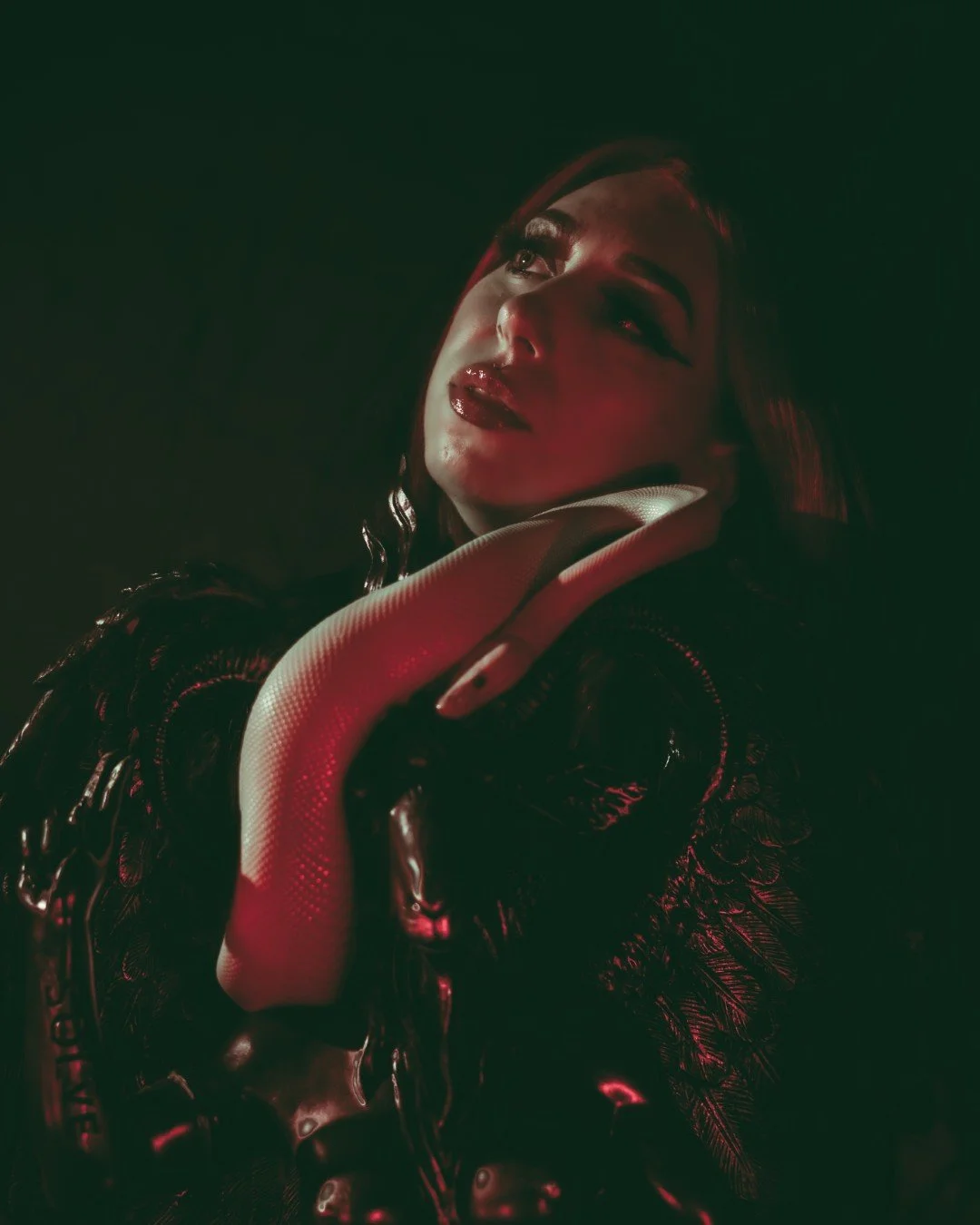 Nyx and Zuzu-8 (Large).JPG