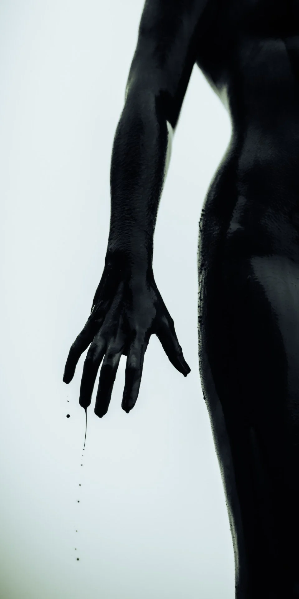 Zander wasp -60 (Large).JPG