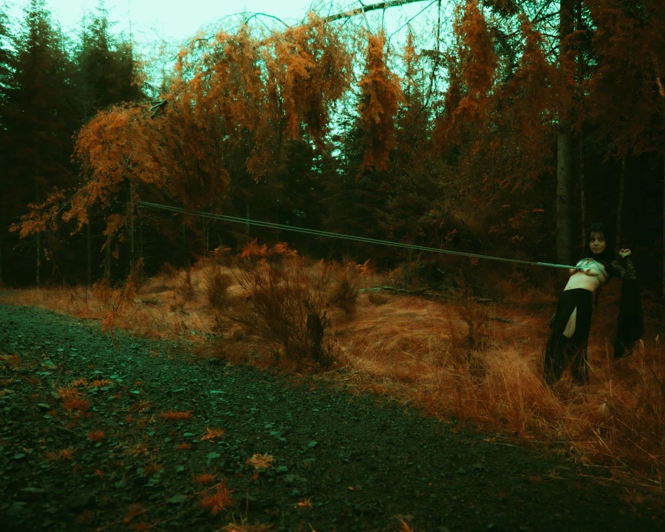 alexis tv-18 (Large).JPG