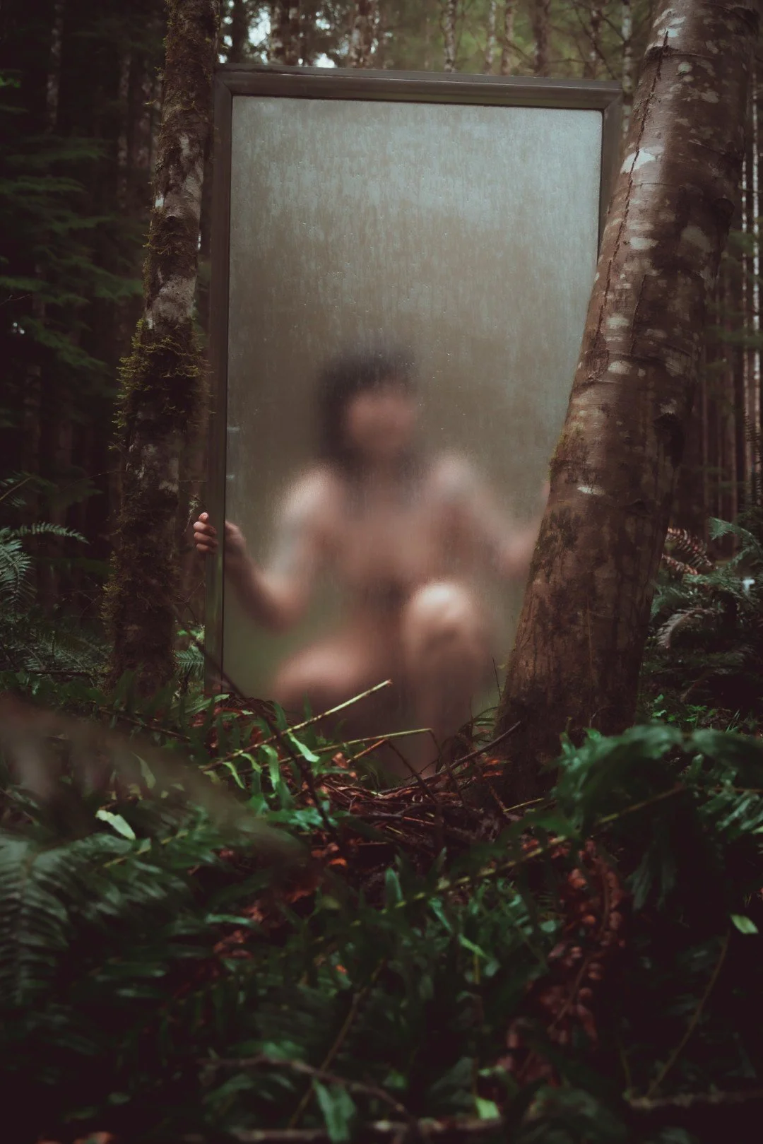Forest Shower-6 (Large).JPG