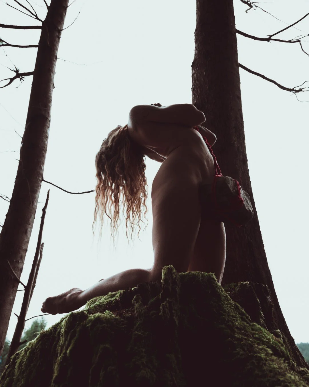 Burdened-61 (Large).JPG