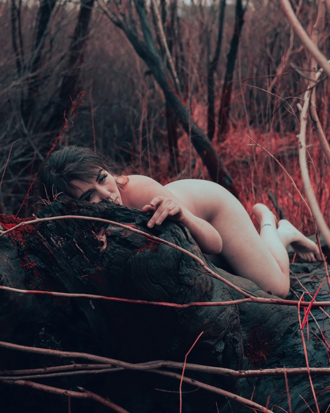 Rooster rock-17 (Large).JPG