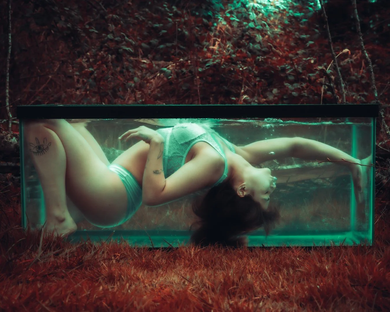 Shy Tank-2 (Large).JPG