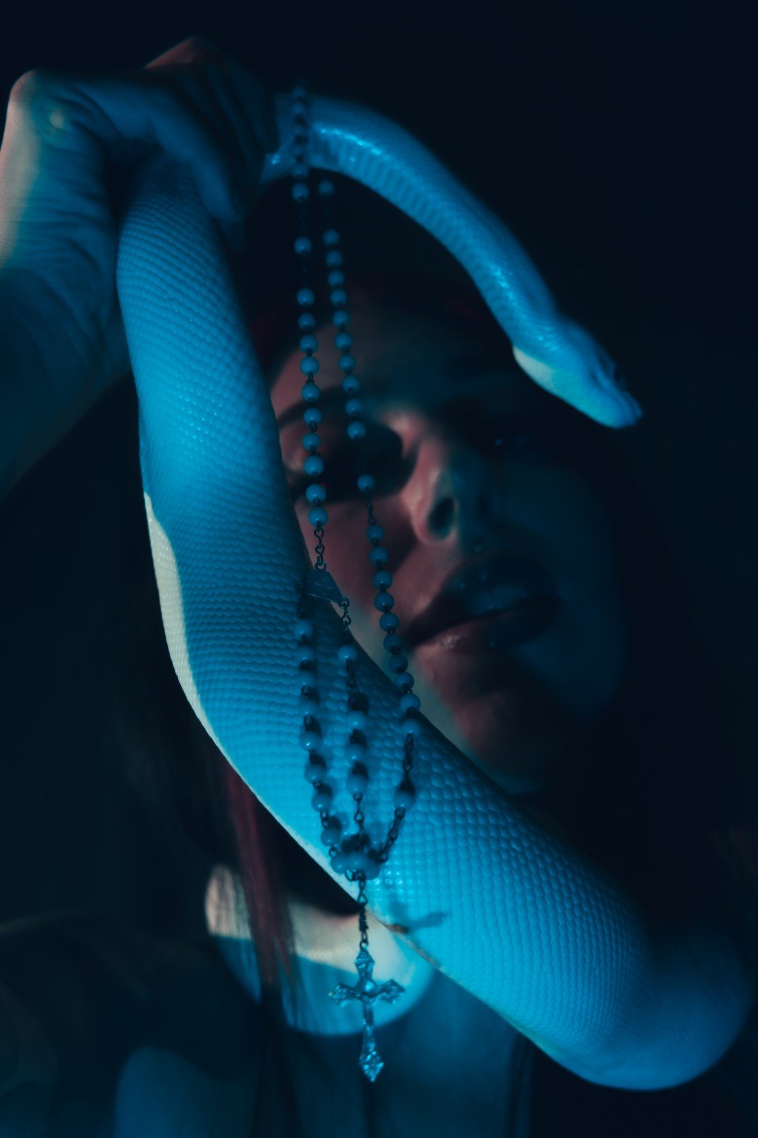 Nyx and Zuzu-51 (Large).JPG