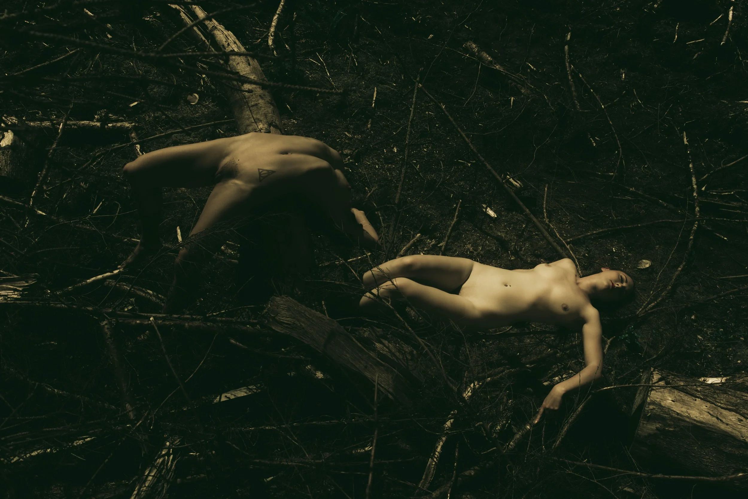 Barbedwire crown-33.jpg