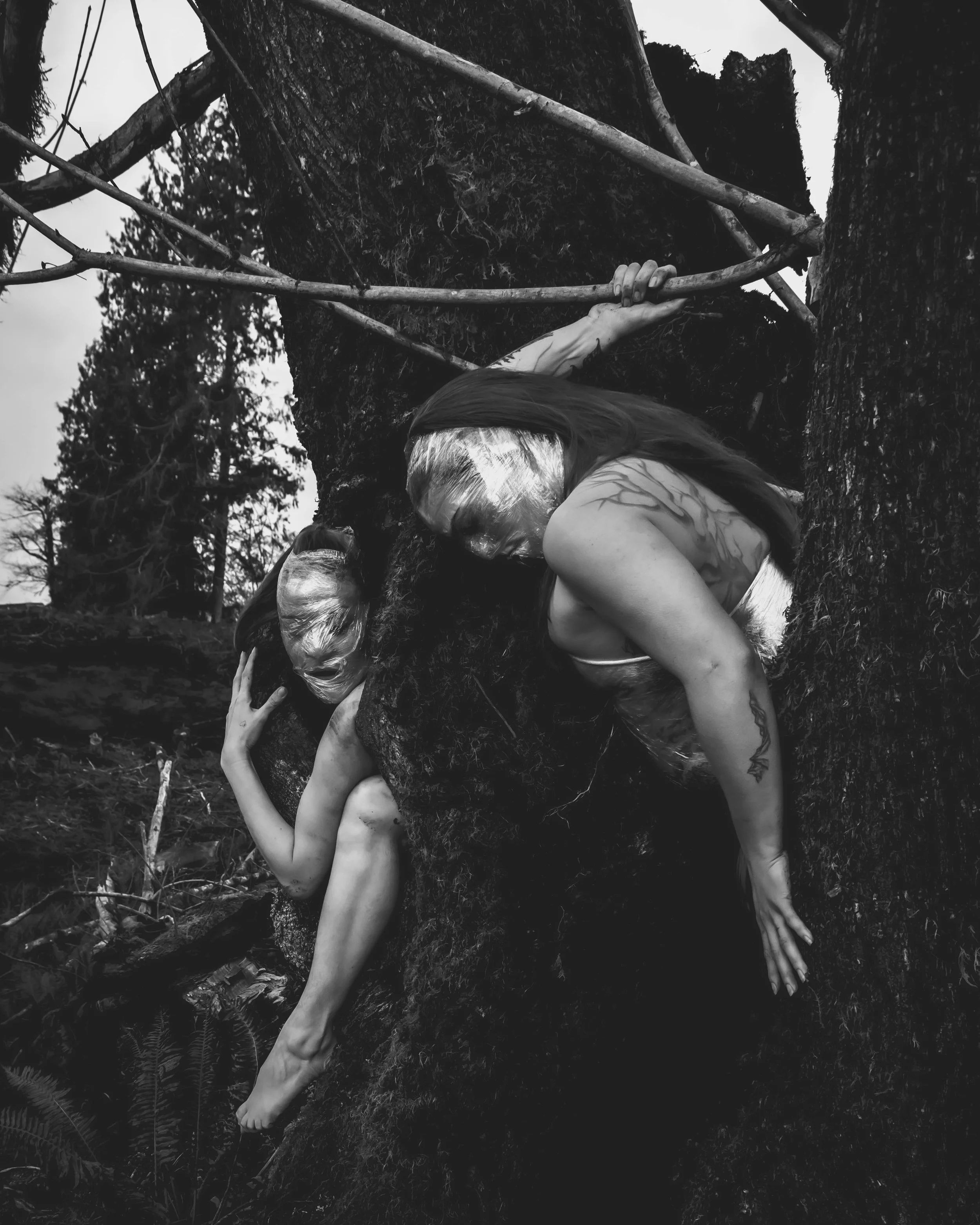 Saran Wrap Tree-15.jpg