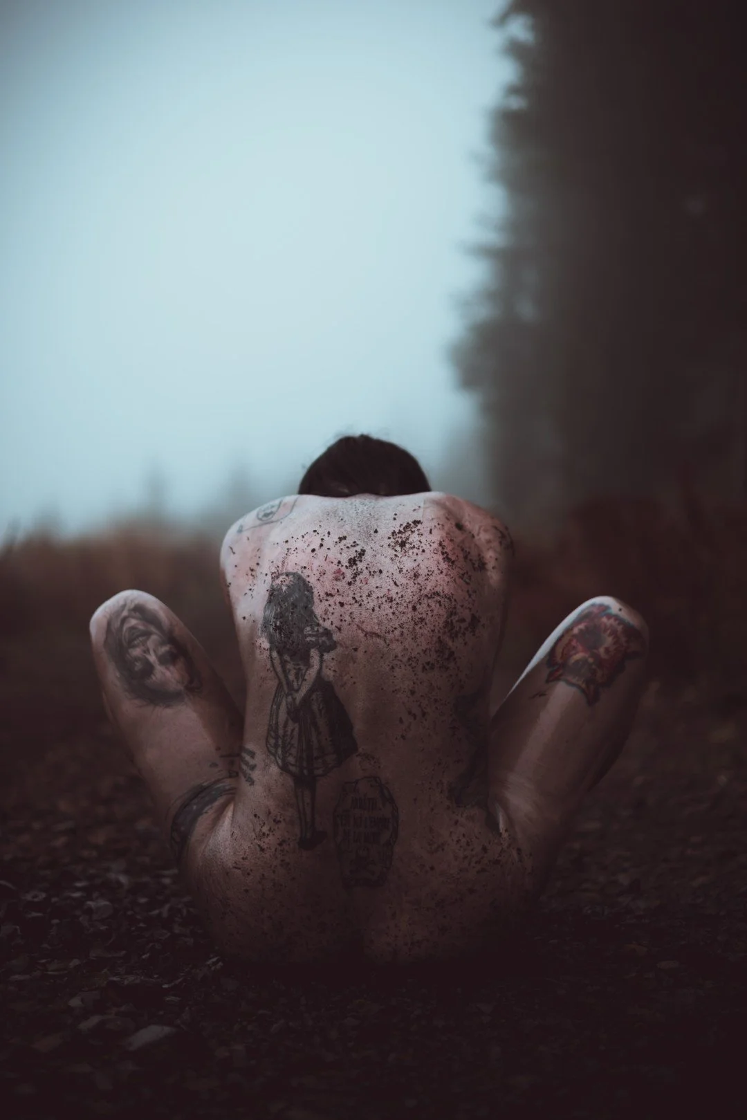 Zander wasp -54 (Large).JPG