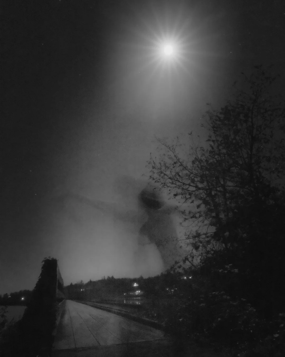 moon bath-2 (Large).JPG