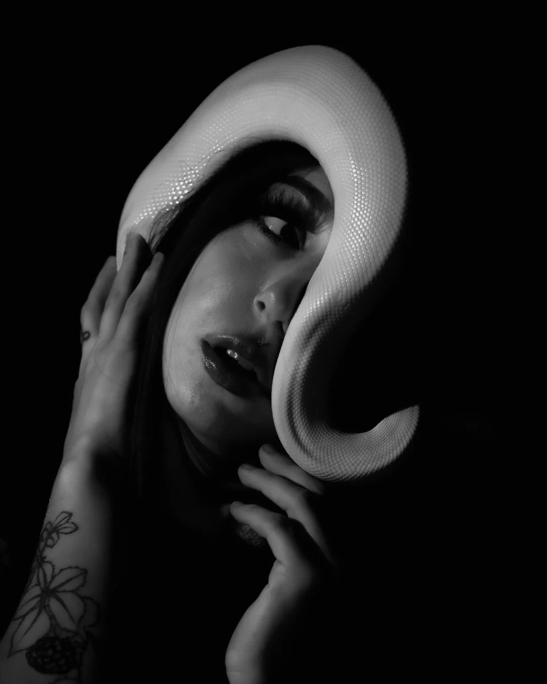 Nyx and Zuzu-30 (Large).JPG