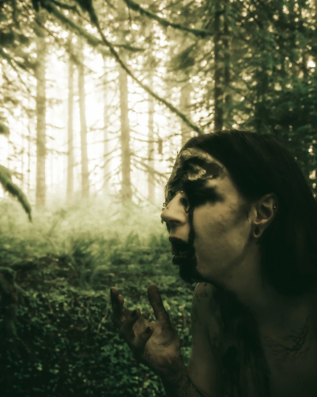 Zander wasp -11 (Large).JPG