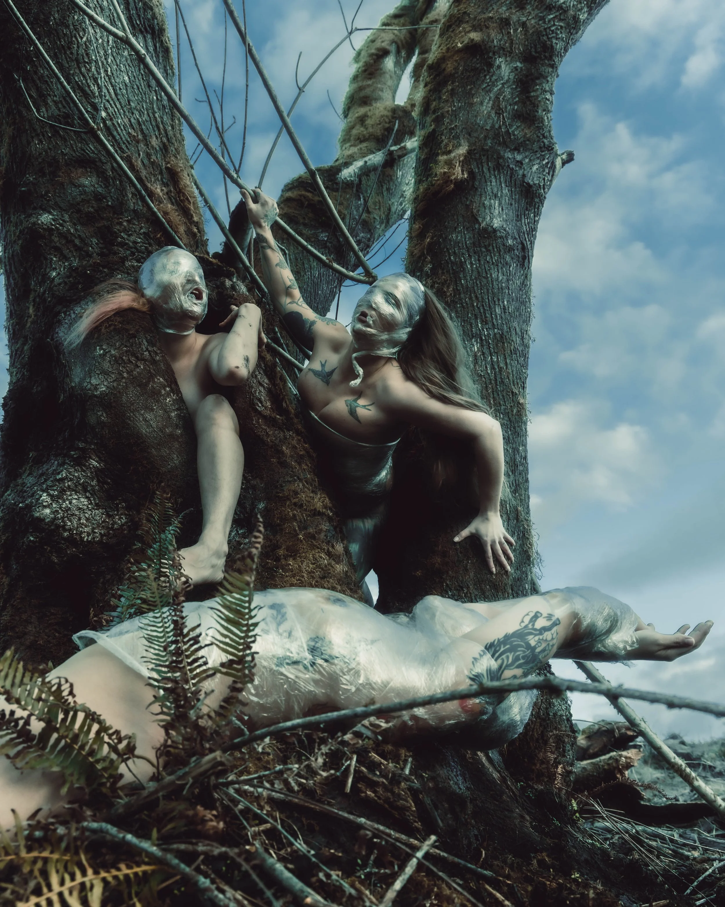 Saran Wrap Tree-2.jpg