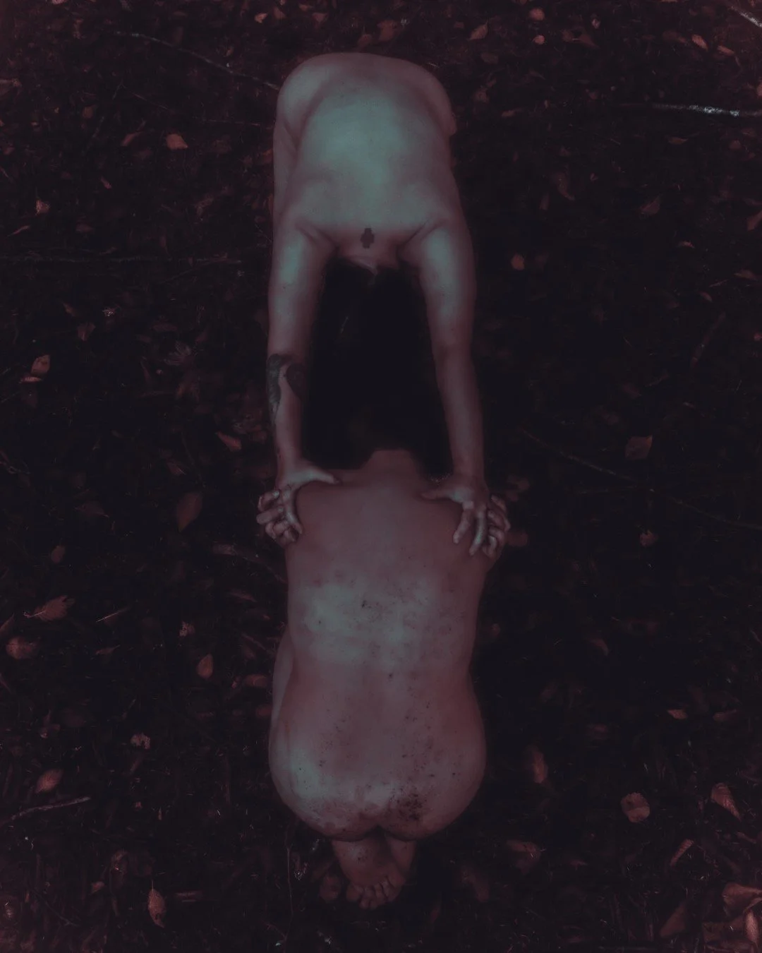 Enduring-65 (Large).JPG