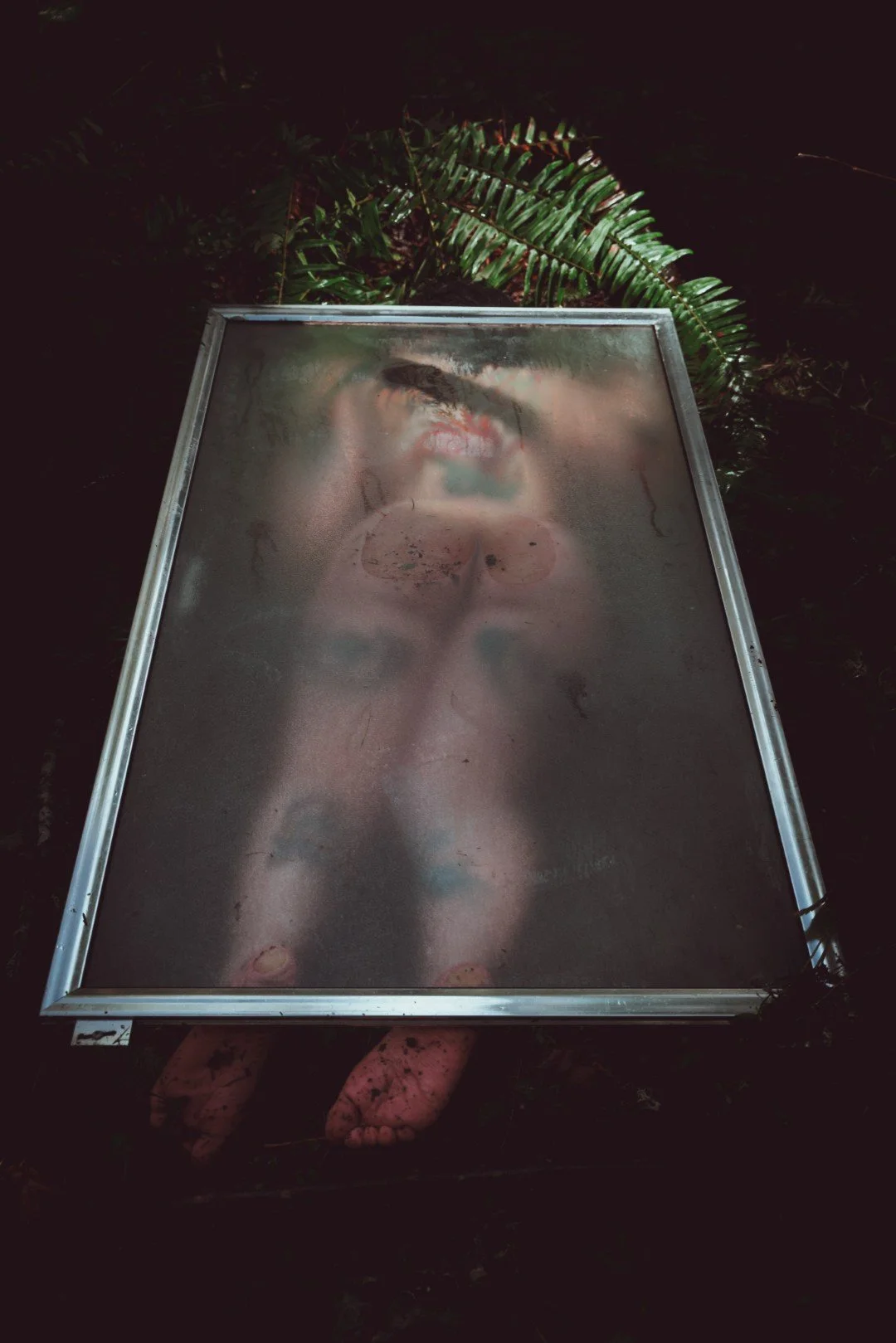 Forest Shower-39 (Large).JPG
